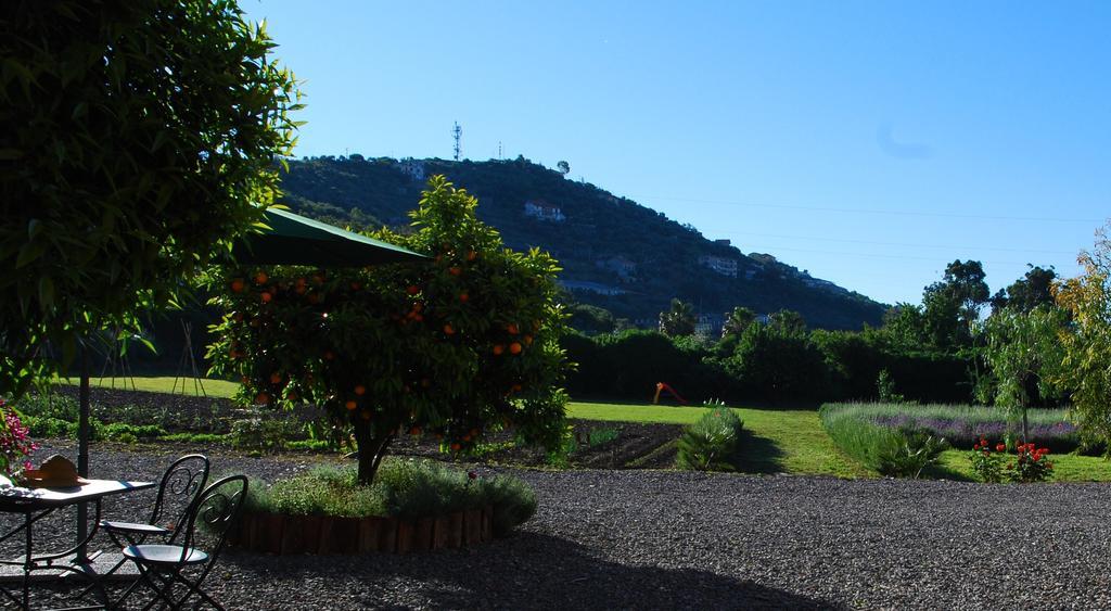 Agriturismo Coppi Rossi Βίλα Torrazza  Εξωτερικό φωτογραφία